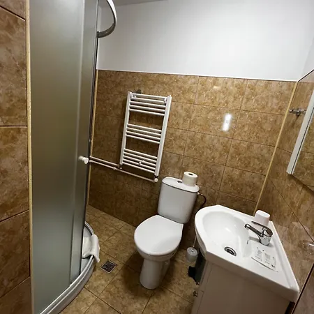 Pensiunea Andra Guest house