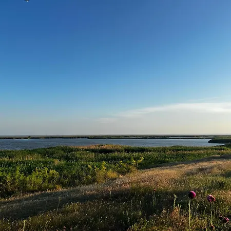 Pensiunea Andra Pensionat