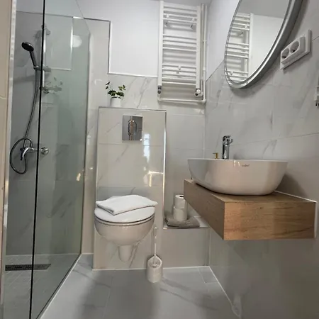 Pensionat Pensiunea Andra 3*