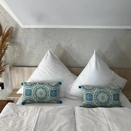 Гостевой дом Pensiunea Andra