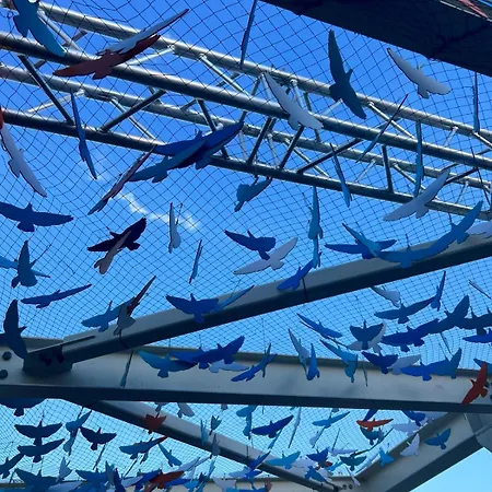 Πανσιόν Pensiunea Andra