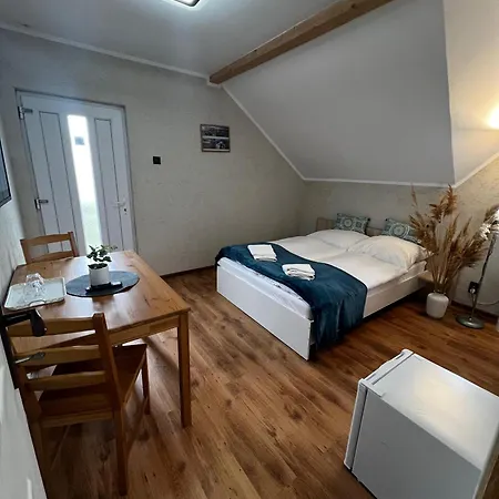 Pensiunea Andra Гостевой дом