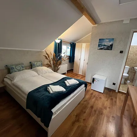 Pensiunea Andra Гостевой дом