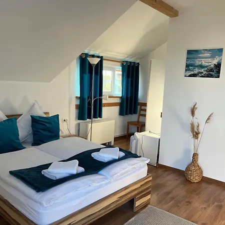 Πανσιόν Pensiunea Andra 3*