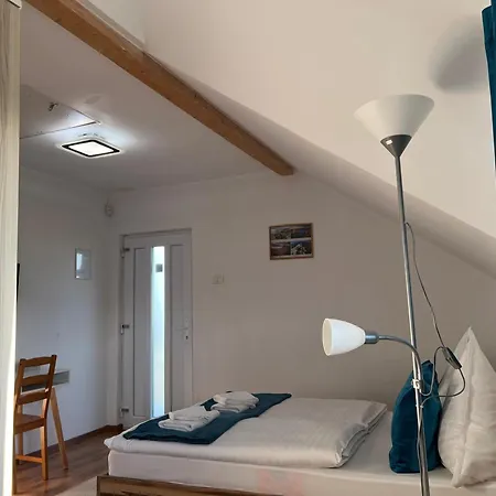 Pensiunea Andra Vendégház 3*