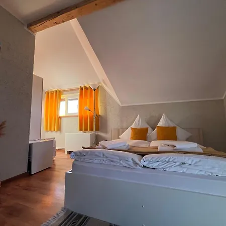 Pensiunea Andra Vendégház 3*