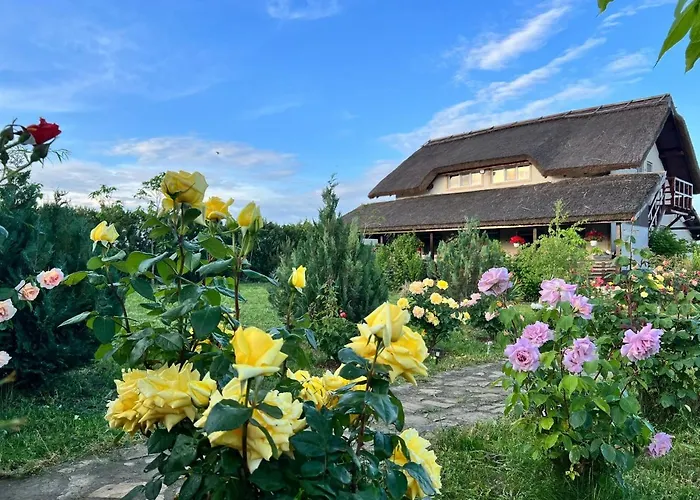 Pensiunea Andra 3* Jurilovca