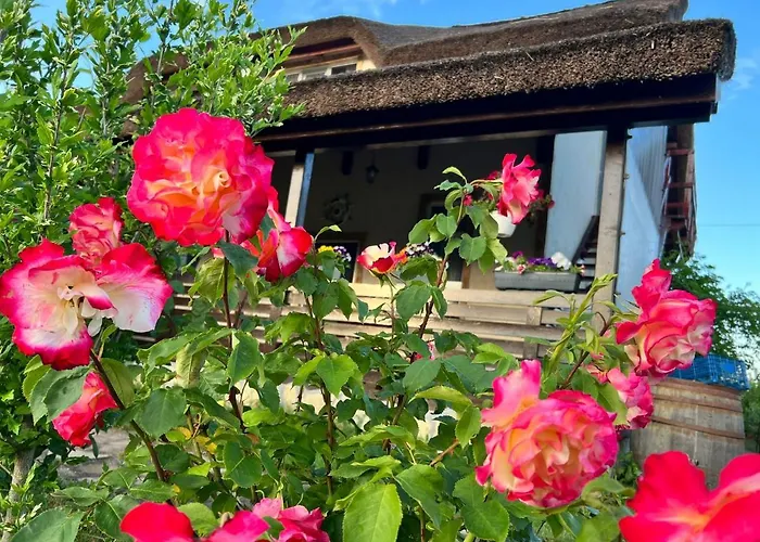 Pensiunea Andra 3* Jurilovca