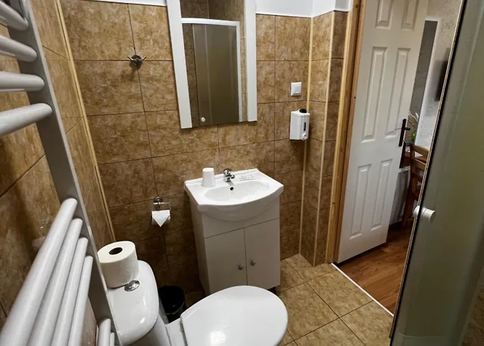 Pensiunea Andra Pensjonat 3*