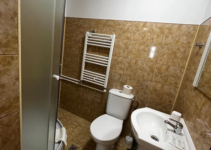 Pensiunea Andra Pensjonat