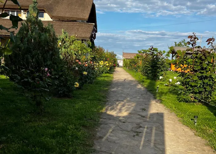 Pensiunea Andra Pensjonat 3*