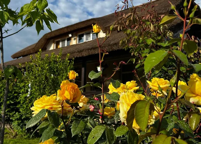 Pensiunea Andra Pensjonat